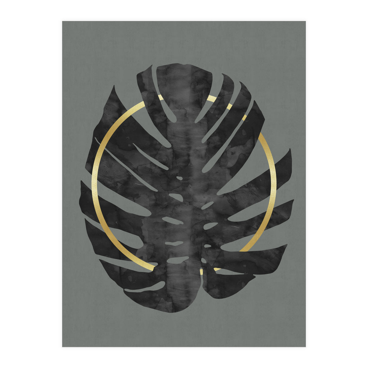 Monstera Deliciosa I (Print Only)