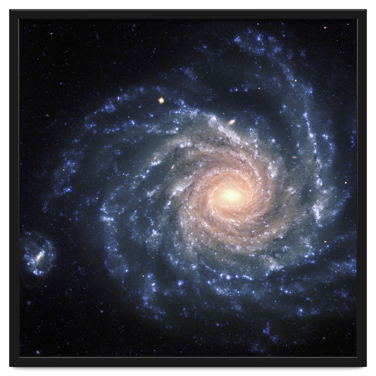 Spiral Galaxy NGC 1232