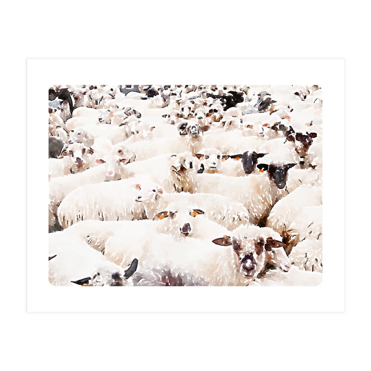 The Herd (Print Only)