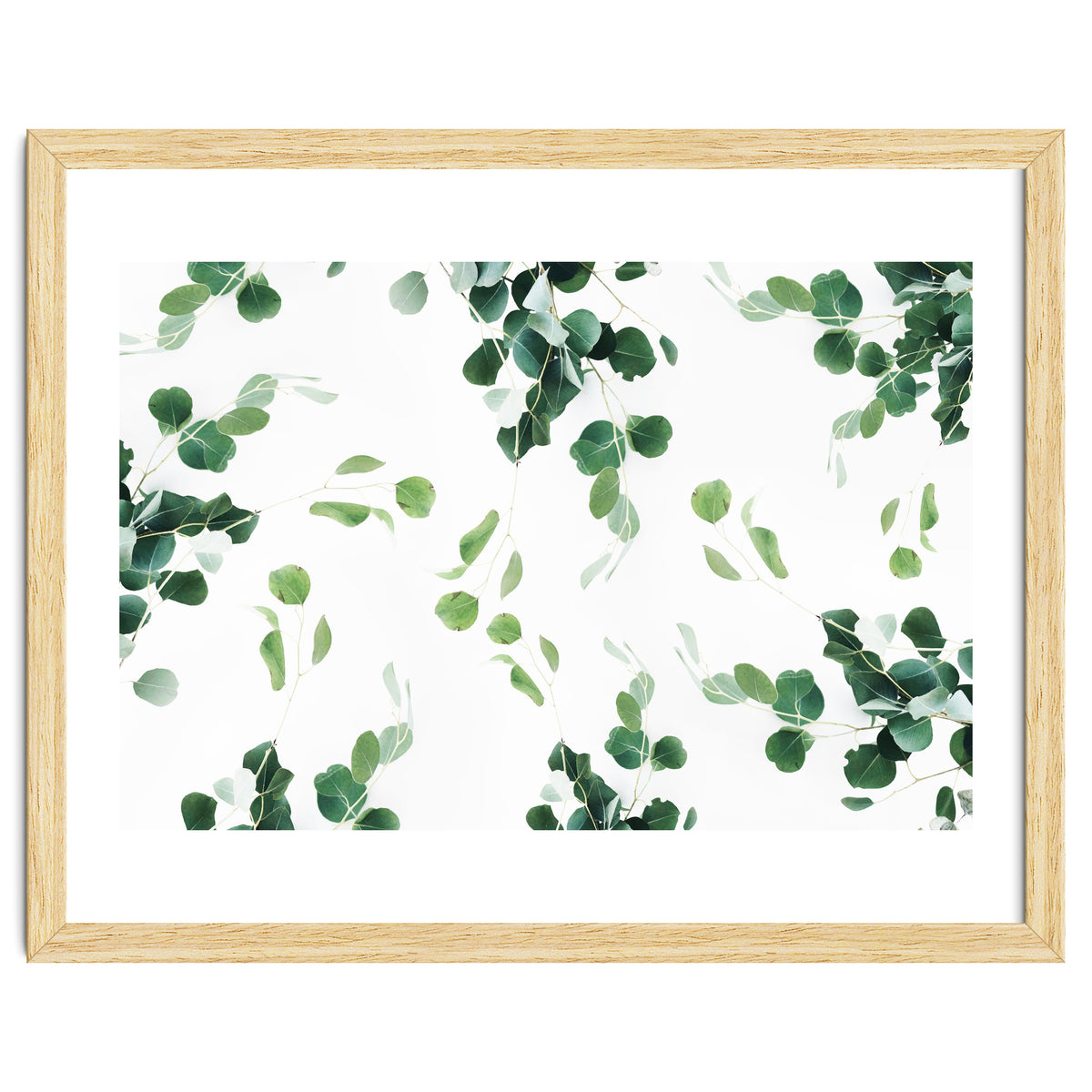 Botanical Celebration