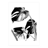 Black Tropical Leaves  (Print Only) thumbnail