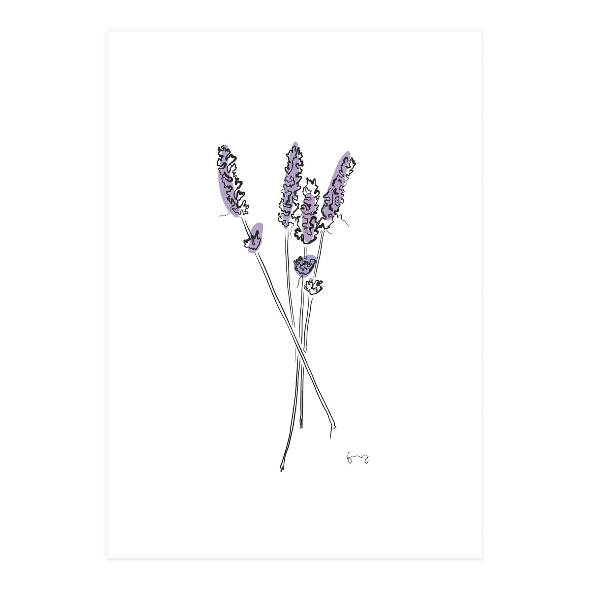 Lavender (Print Only)