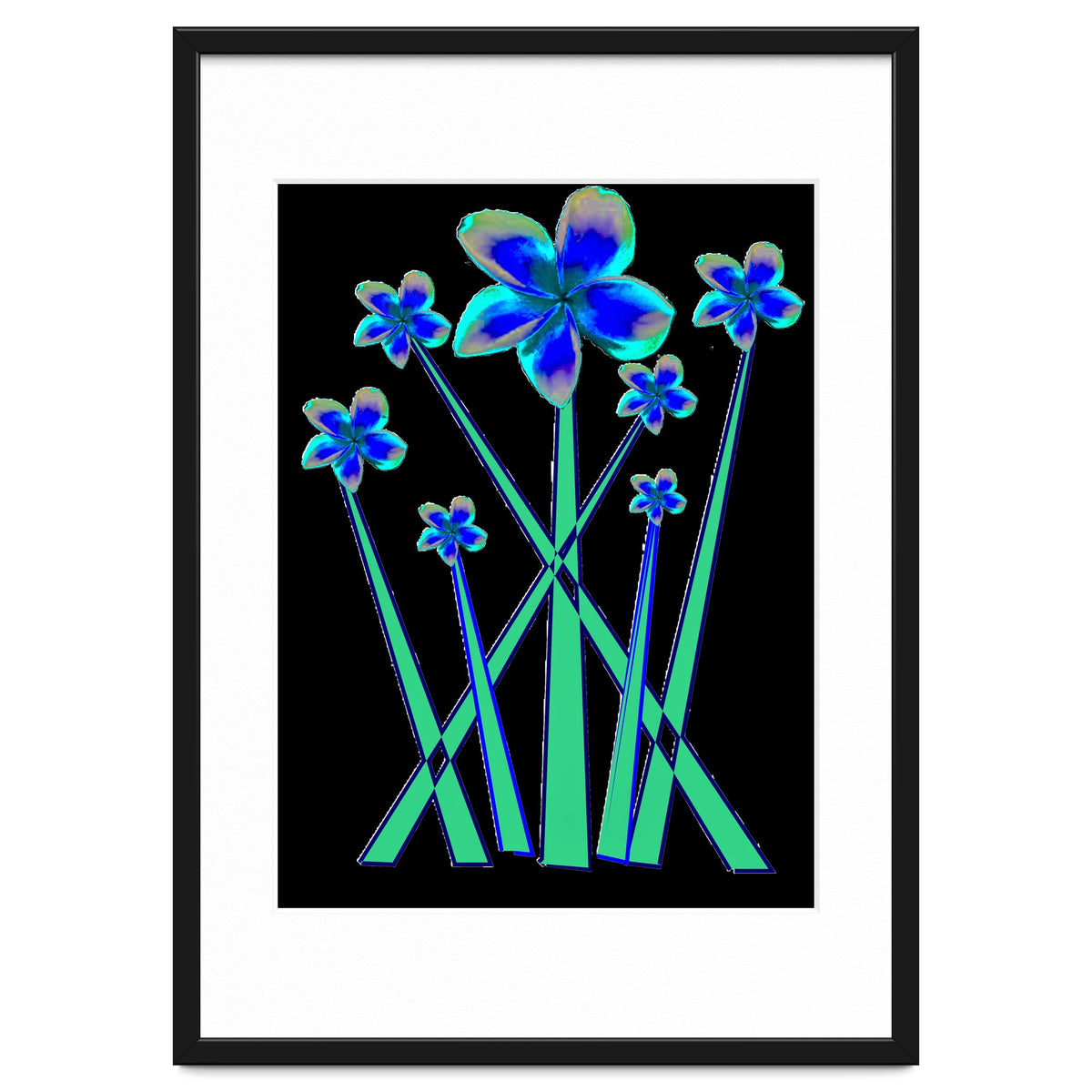 Blue flowers on black.