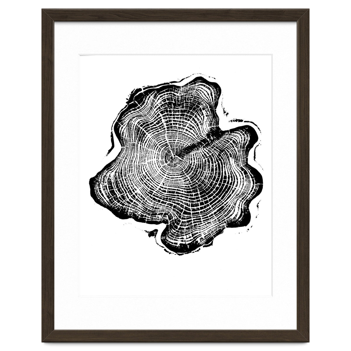 Alaskan Cypress, Tree Ring Art Print, Woodblock