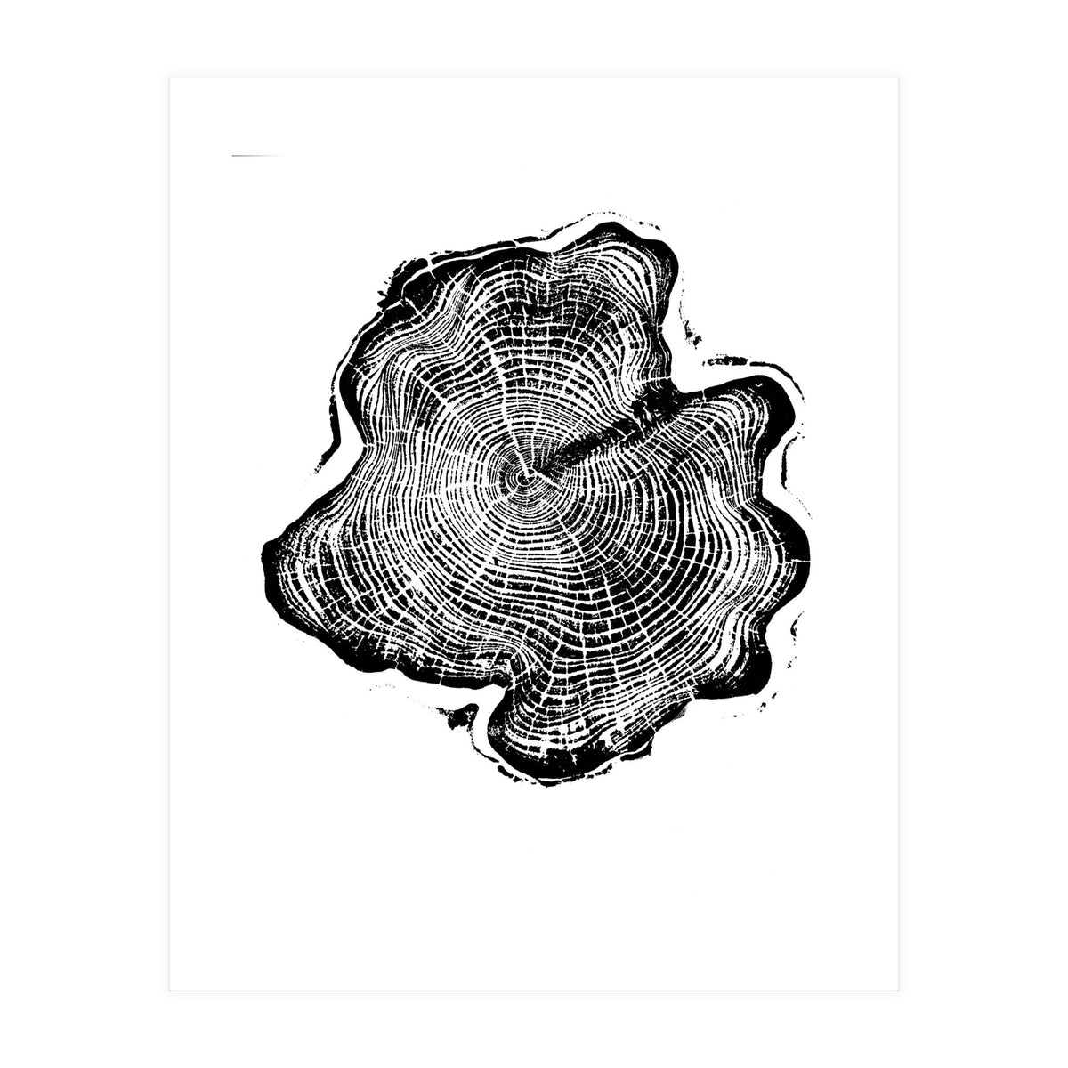 Alaskan Cypress, Tree Ring Art Print, Woodblock (Print Only)