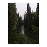 Evergreen State (Print Only) thumbnail