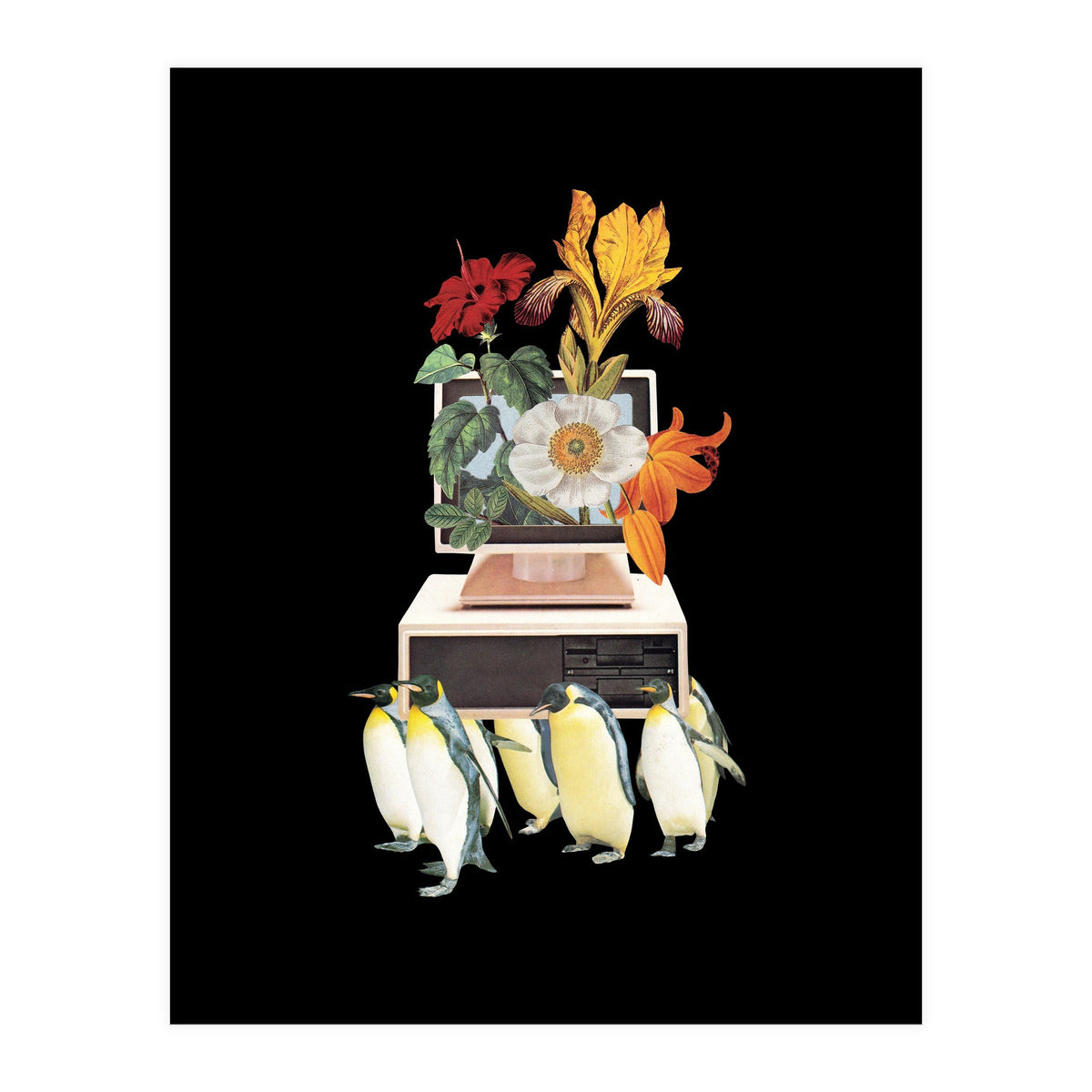 Penguin Os (Print Only)