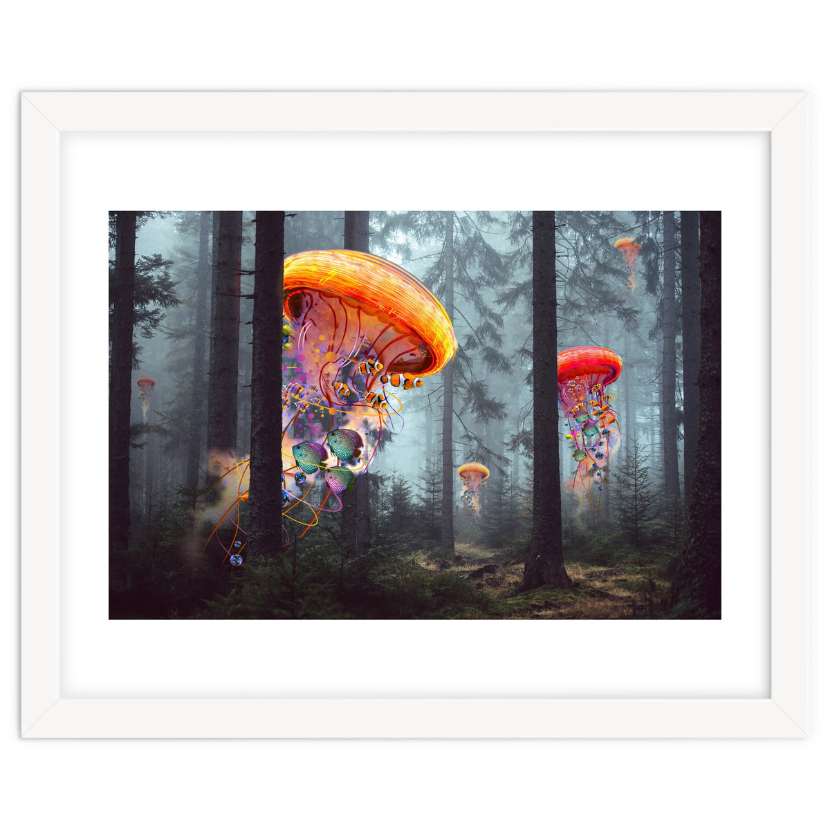 Forest Jellyfish For Print7000