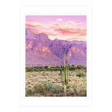 Cactus Sunset (Print Only) thumbnail