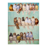 Birds Birds Birds (Print Only) thumbnail