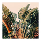 Hue (Print Only) thumbnail