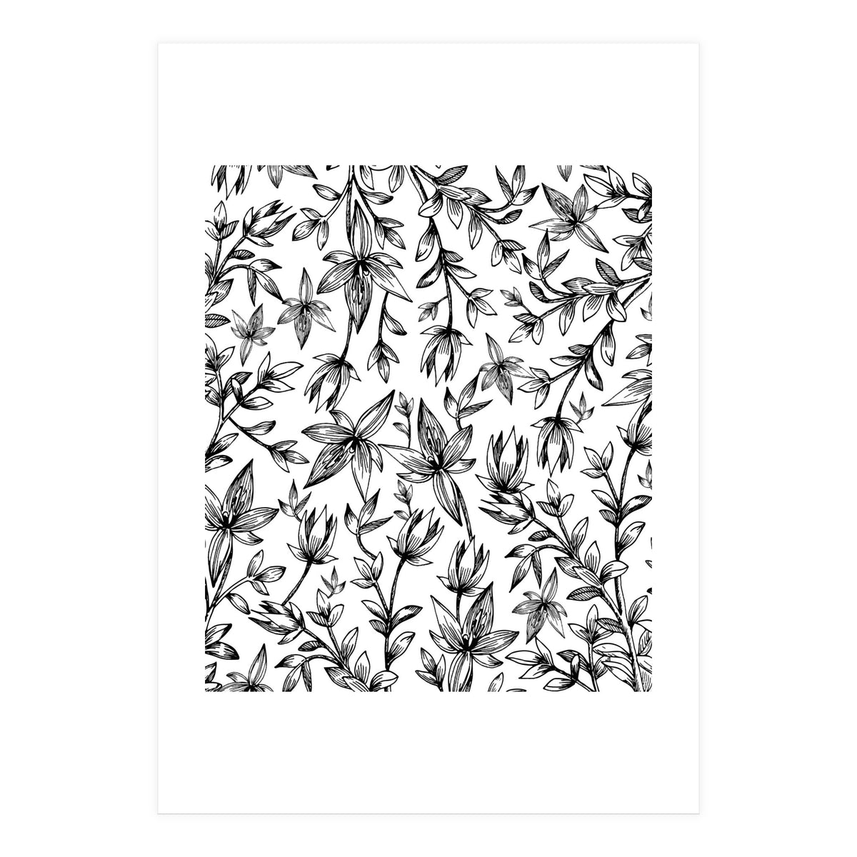 Veli V2 (Print Only)