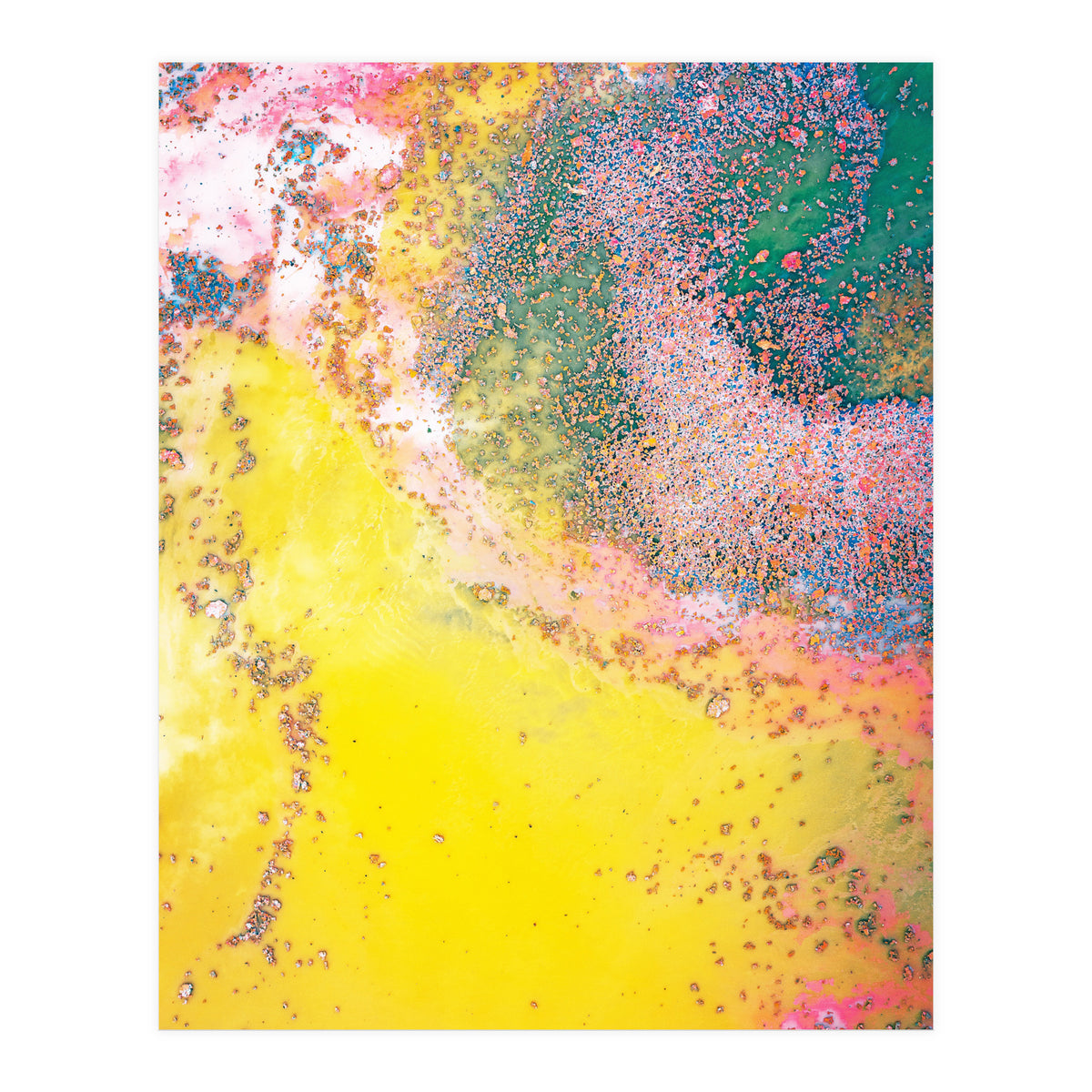 Random Bliss (Print Only)