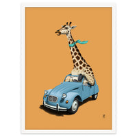 Riding High Colour