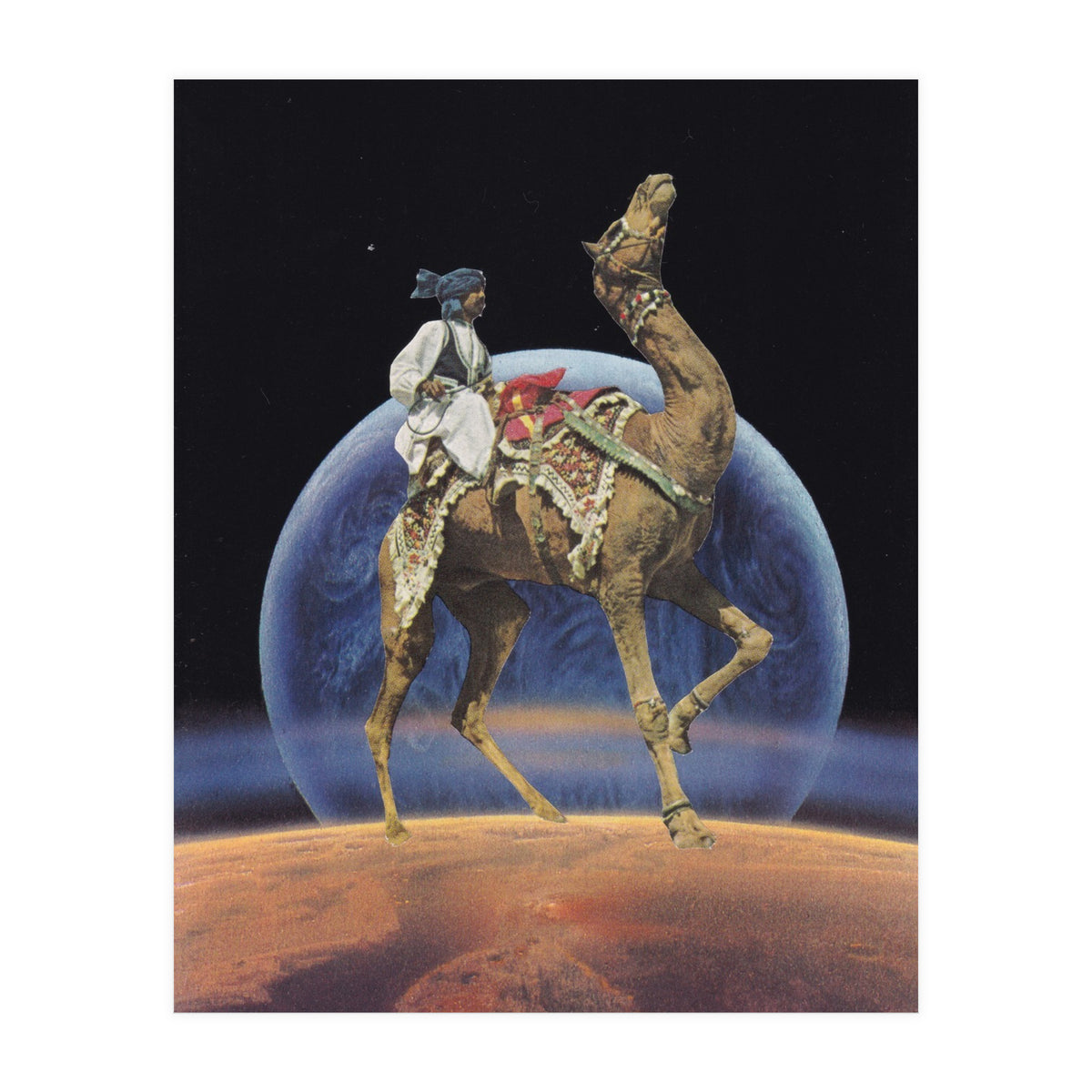 Dancing Camel (Print Only)