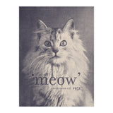 Famous Quote Cat (Print Only) thumbnail