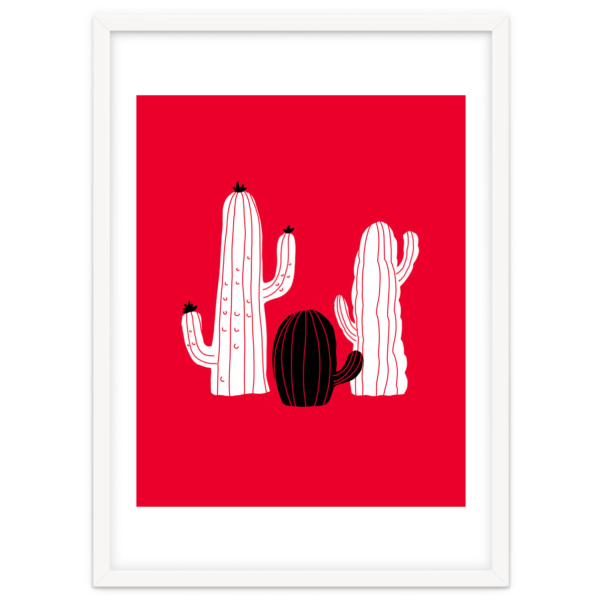 Cactus