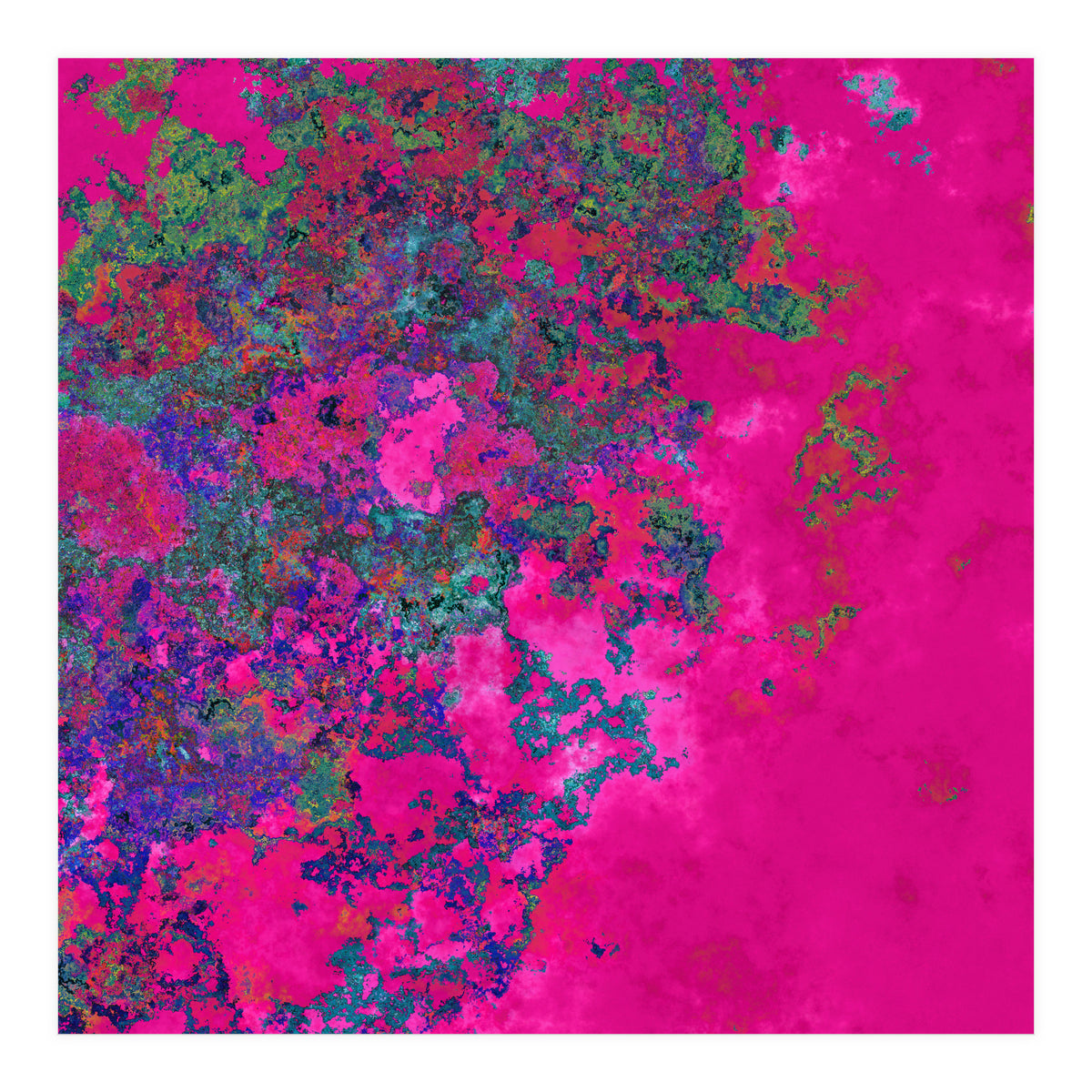 Fuchsia Dream (Print Only)