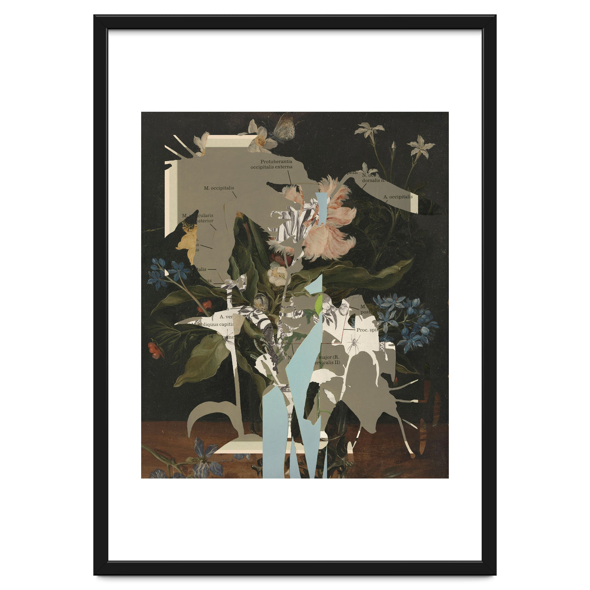 The First Plant · D2