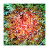 The Beautiful Evidence (Print Only) thumbnail