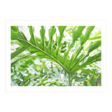 Green Leaf (Print Only) thumbnail
