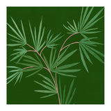 Abstract Palm (Print Only) thumbnail