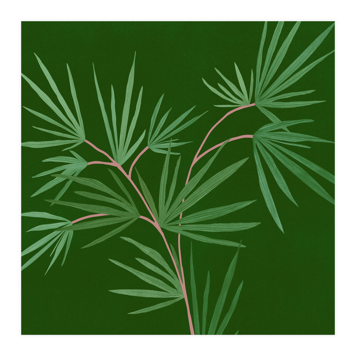 Abstract Palm (Print Only)