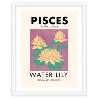 Pisces Birth Flower Water Lily