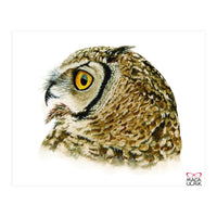 Lesser horned owl  (Print Only)