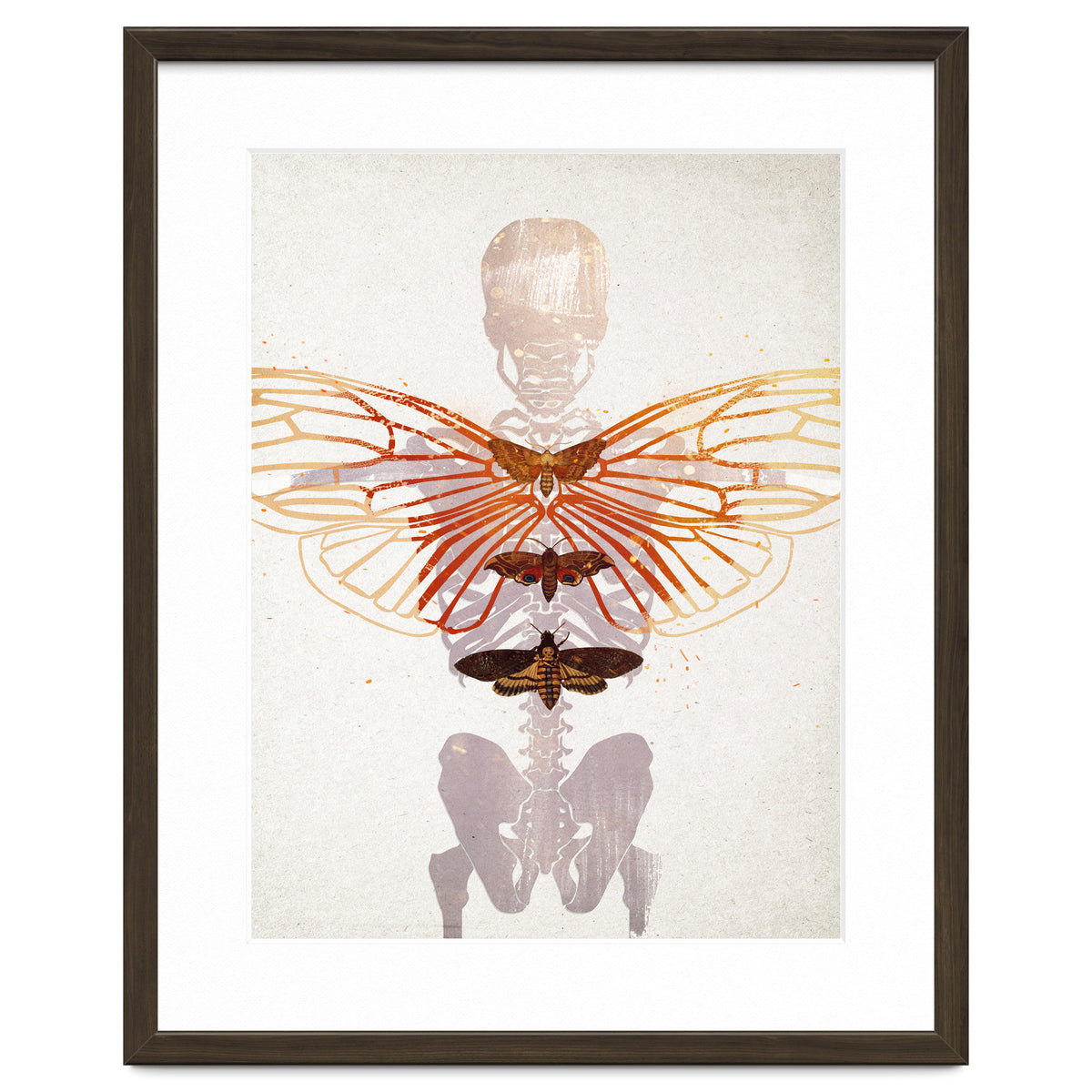 Ikarus - Like a Moth to the Flame