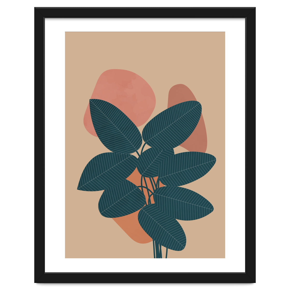 Rubber Plant Boho Botanical