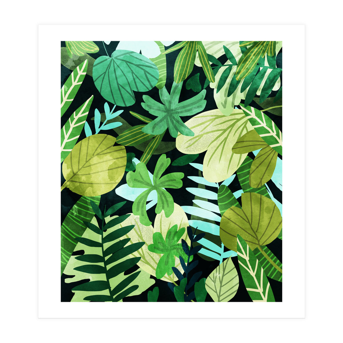 Rainforest Ii (Print Only)