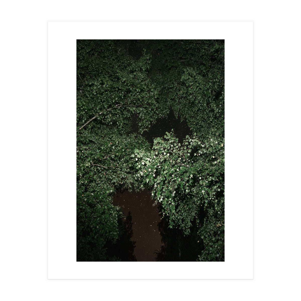 Greenscape (Print Only)