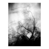 love wish (Print Only) thumbnail