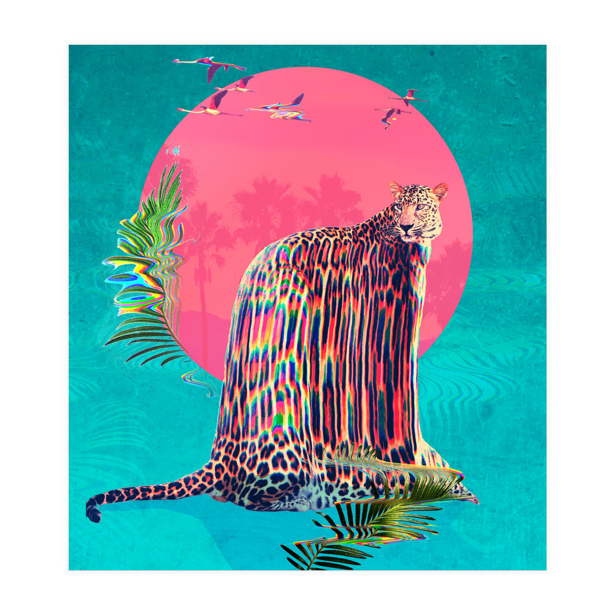 Jaguar (Print Only)