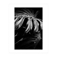monstera nature (Print Only)