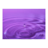 Nature (Print Only) thumbnail