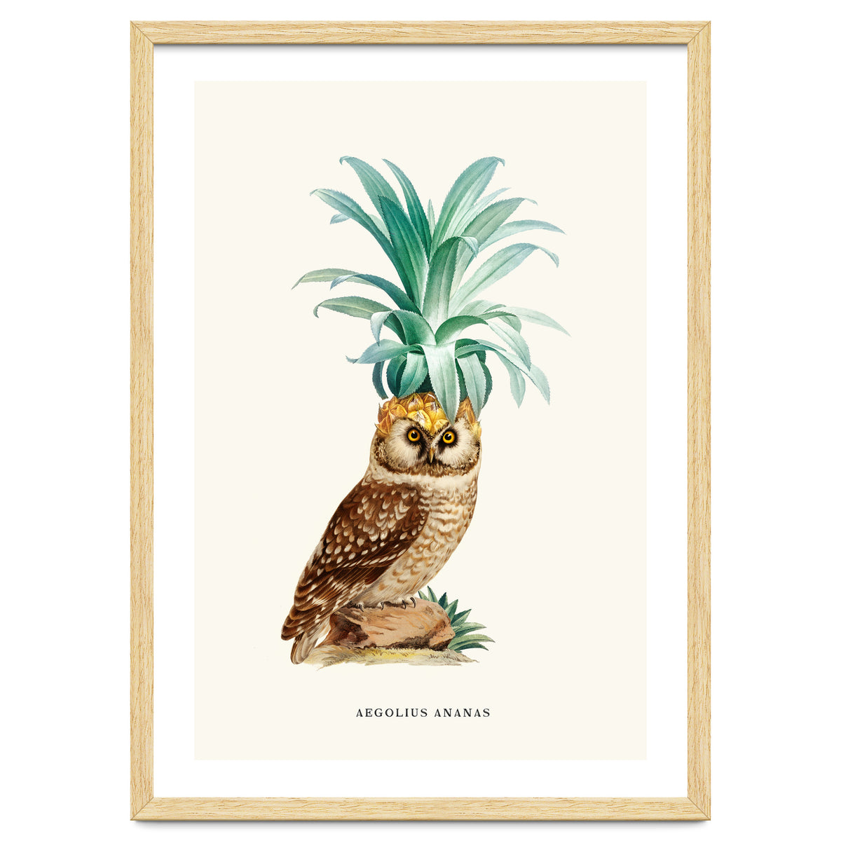 Pineapple Owl Vintage