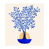 Indigo Ficus Sunrise (Print Only) thumbnail