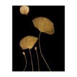 Moonshine Dancers Gold (Print Only) thumbnail