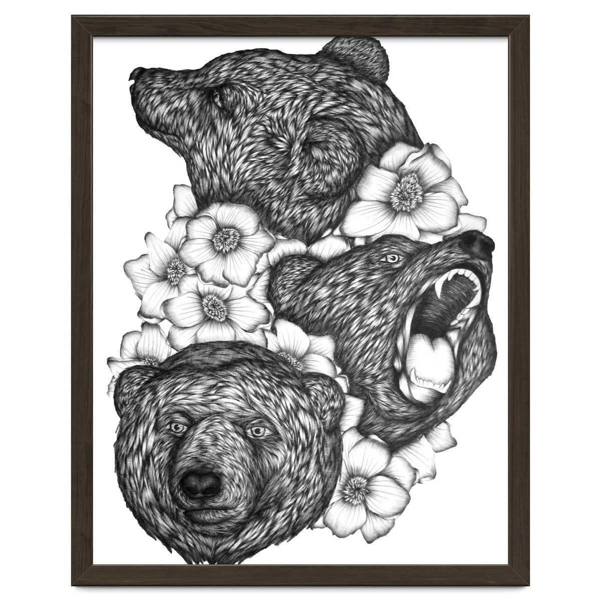 Bears In Bears