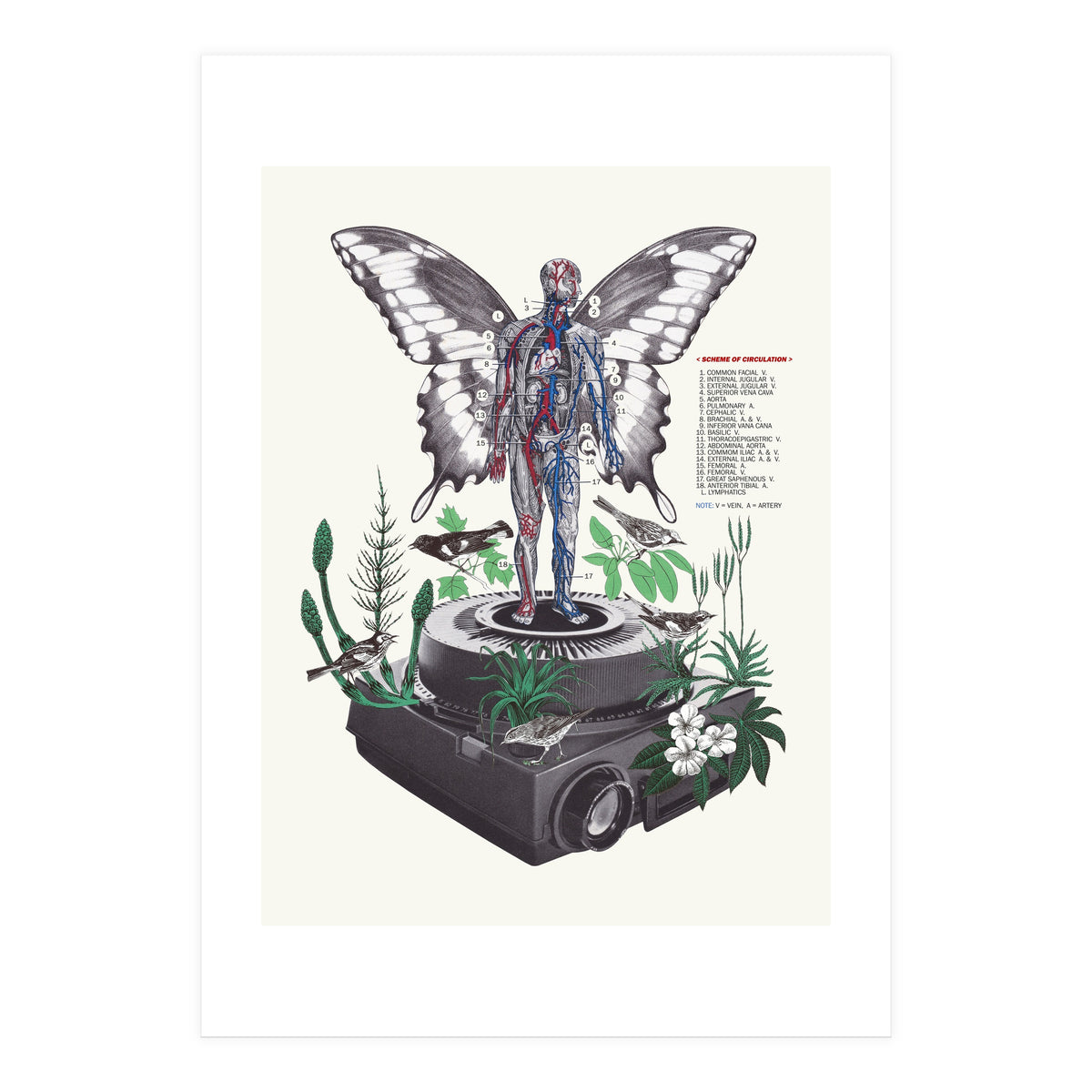 Hologram (Print Only)