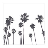 Palms & Sunset-Minimal B&W (Print Only) thumbnail