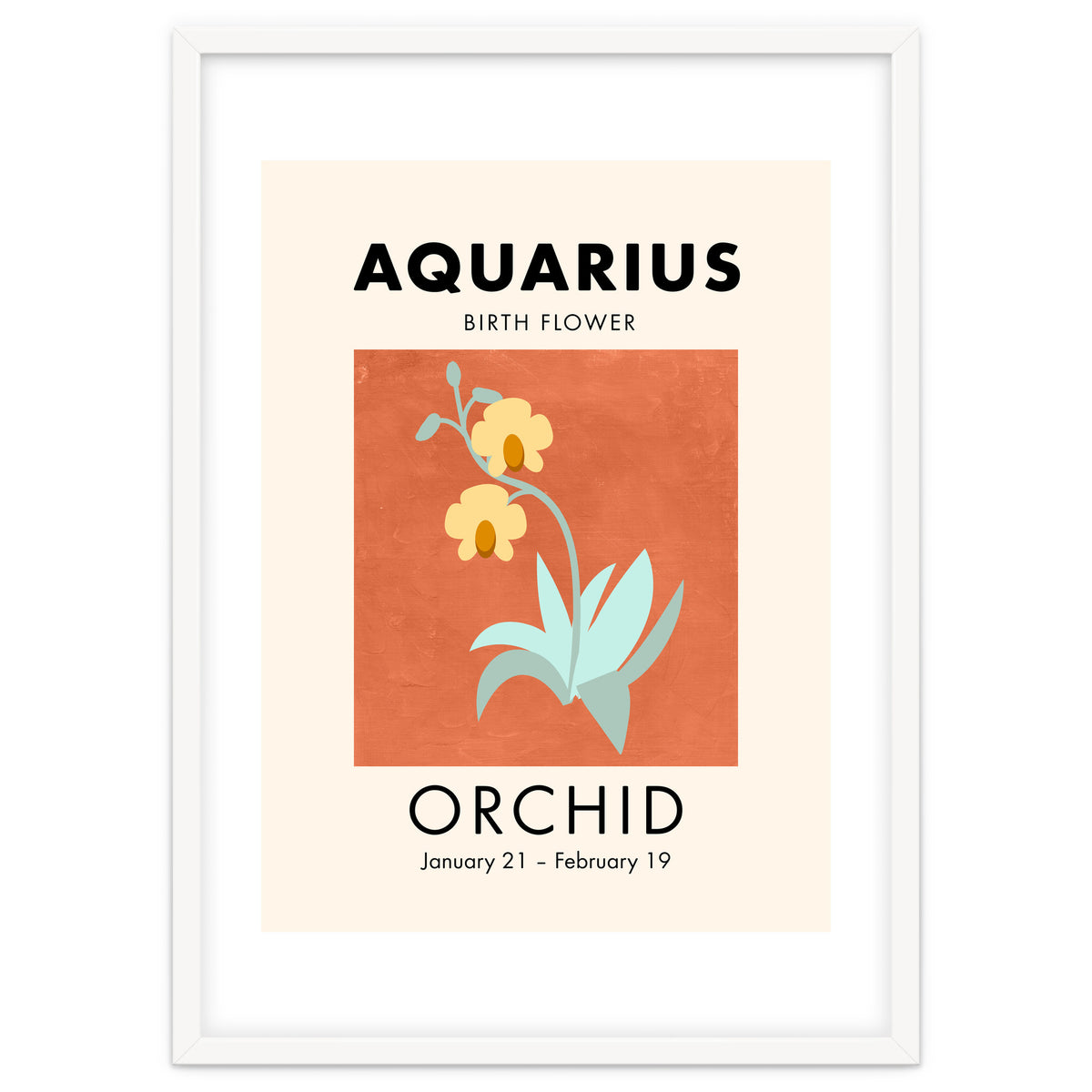 Aquarius Birth Flower Orchid