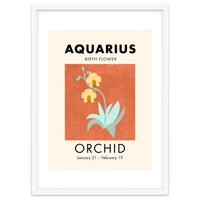 Aquarius Birth Flower Orchid