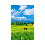 Nature (Print Only) thumbnail