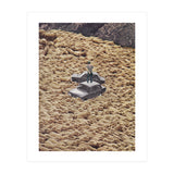 Traffic Jam (Print Only) thumbnail