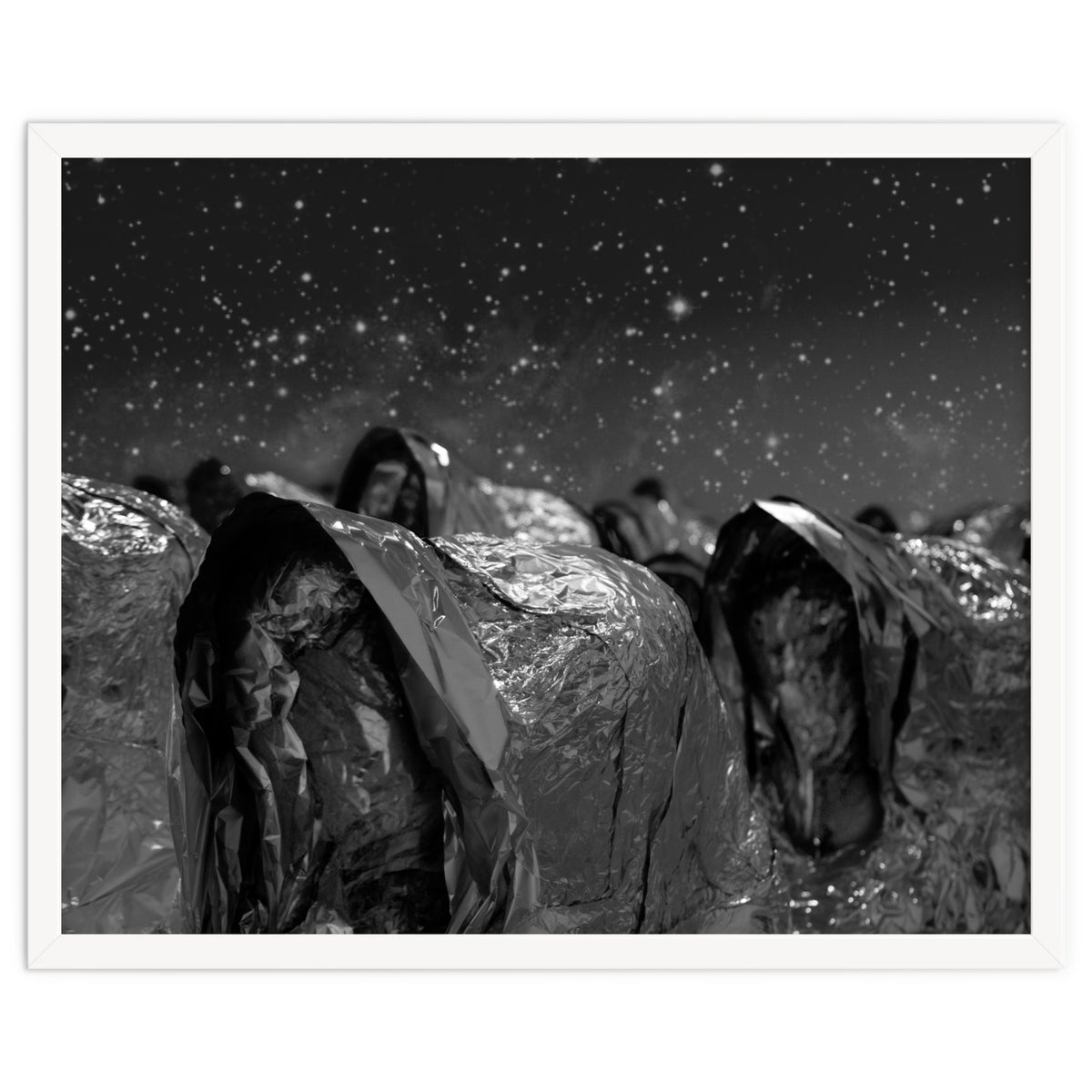 Fellini's Plastic Sea