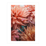 Vintage Dahlia  (Print Only) thumbnail