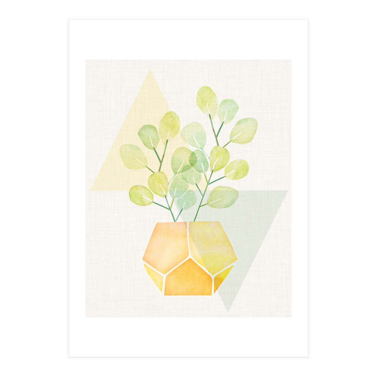 Geometry and House Plant (Print Only)